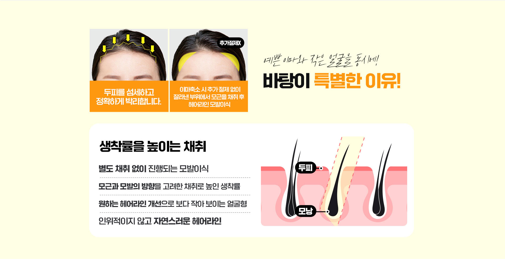 생착률을 높이는 채취